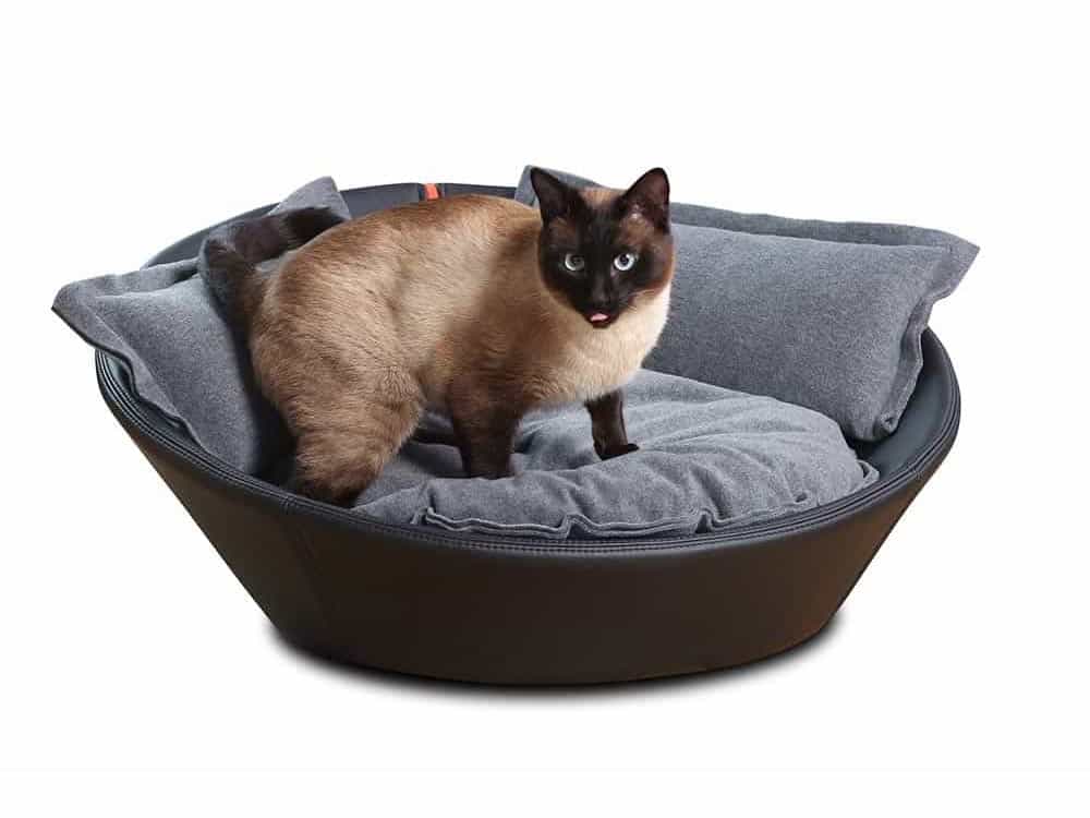 Gatto siamese in trono nella cesta per gatti in pelle bovina nera di pet-interiors.